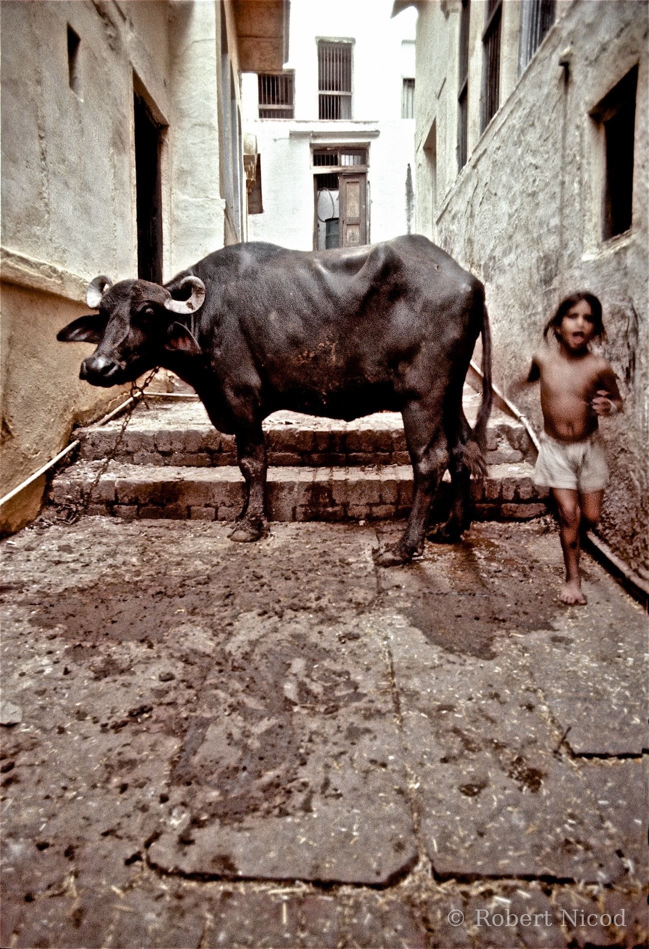 Reportage Inde 1977 — Passage audacieux, Delhi 1977