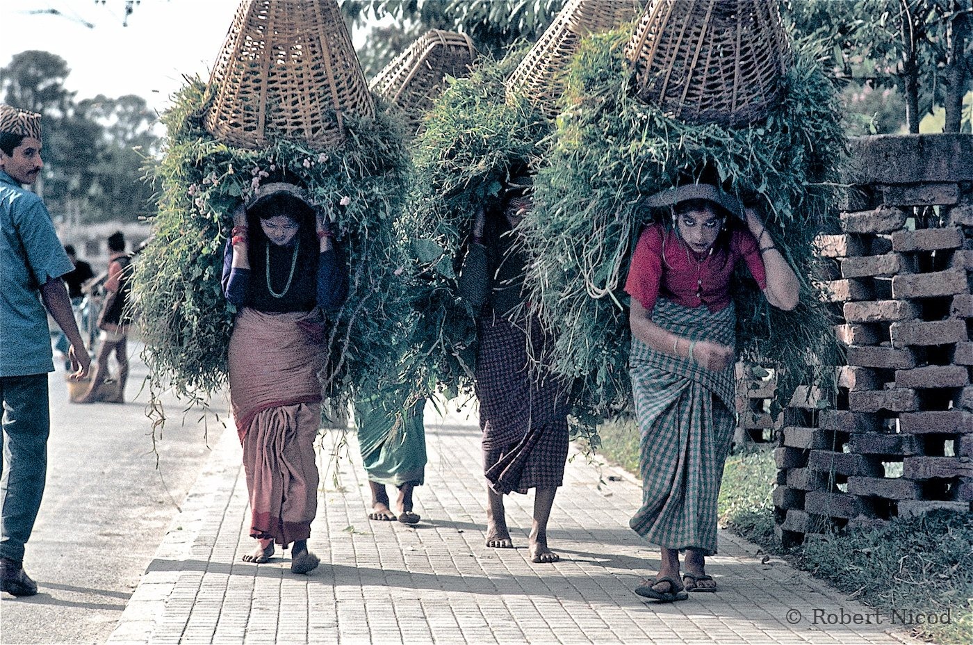 Reportage Népal 1977 — 35 kg de fourrage sur le dos, Katmandou 1977