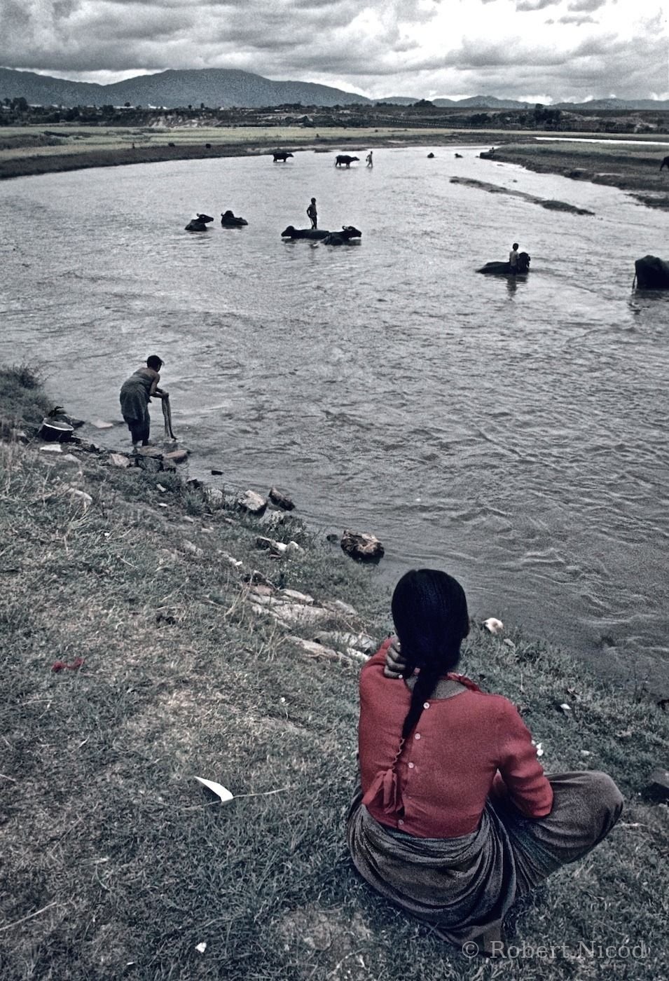 Reportage Népal 1977 — Paysans et buffles domestiqués traversant la rivière, Vallée de Katmandou 1977