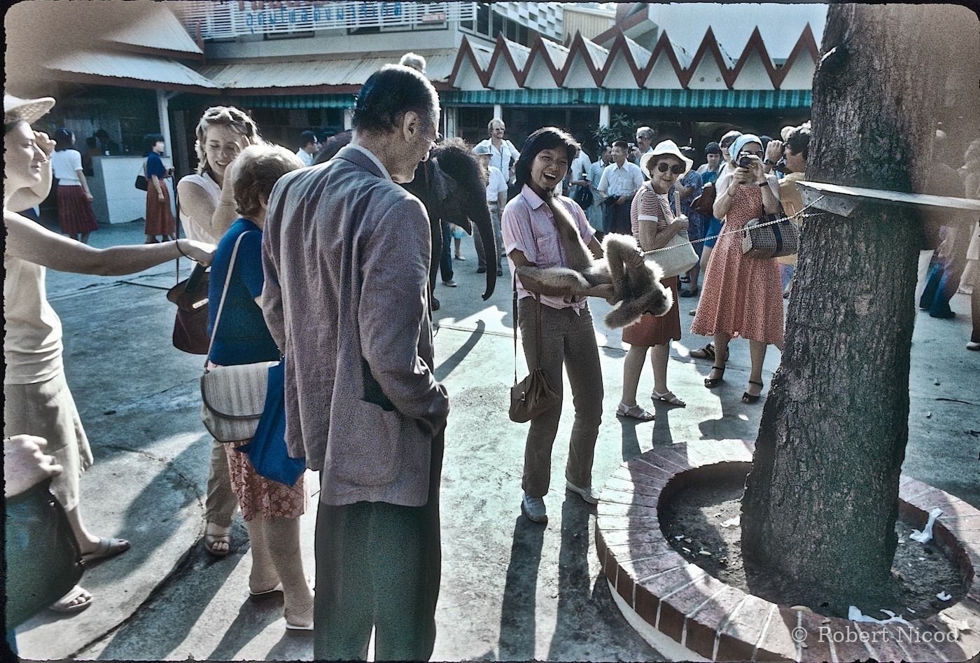 Des touristes en Asie — Une ombre qui en dit long..., Thaïlande 1980