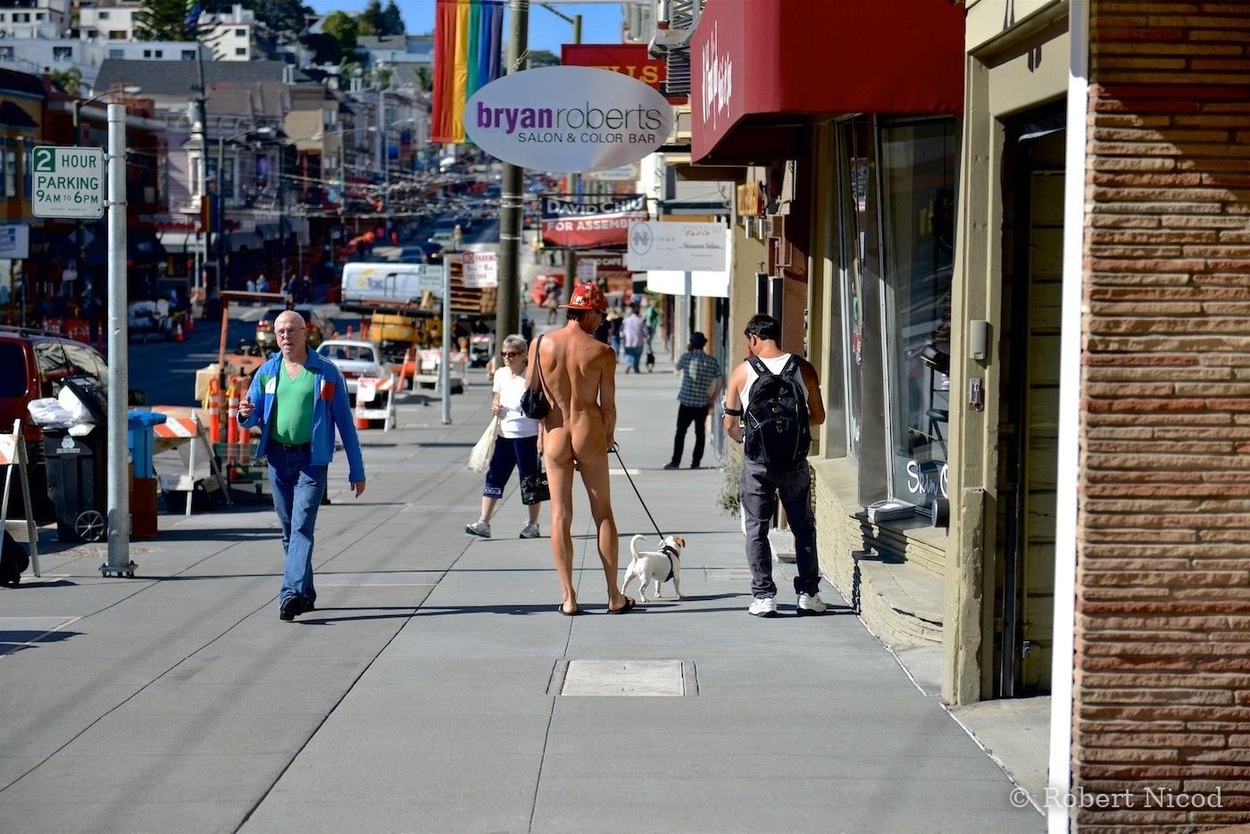 Villes de l'Ouest — Promenade du chien, The Castro, quartier gay, San Francisco 2014