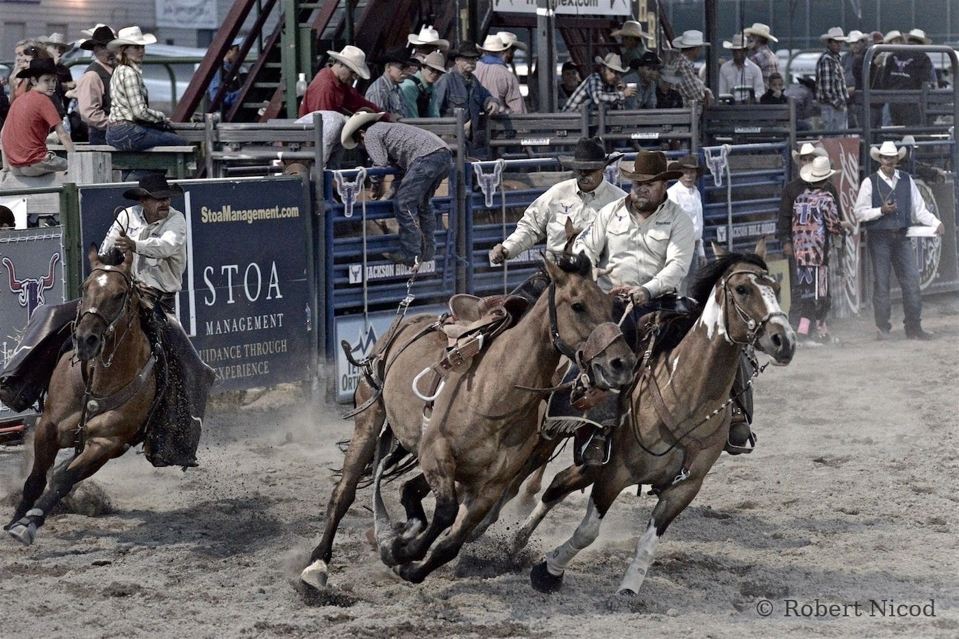 Villes de l'Ouest — Jackson Hole rodeo, Wyoming 2014