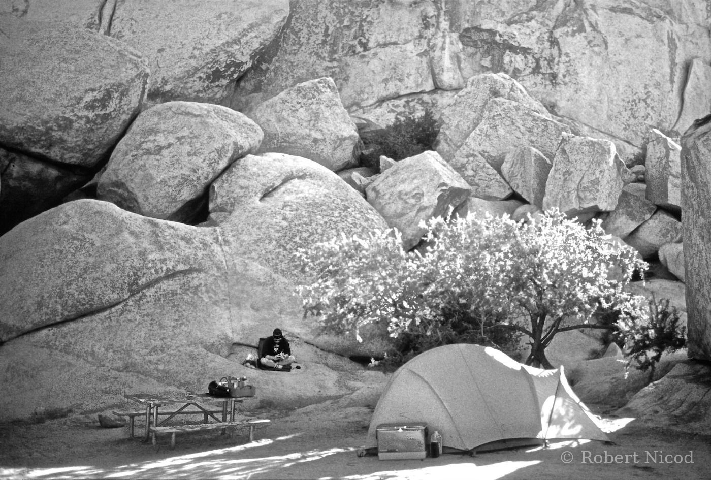 Des touristes à l'Ouest — Emplacement de camping, Joshua Tree, Californie
