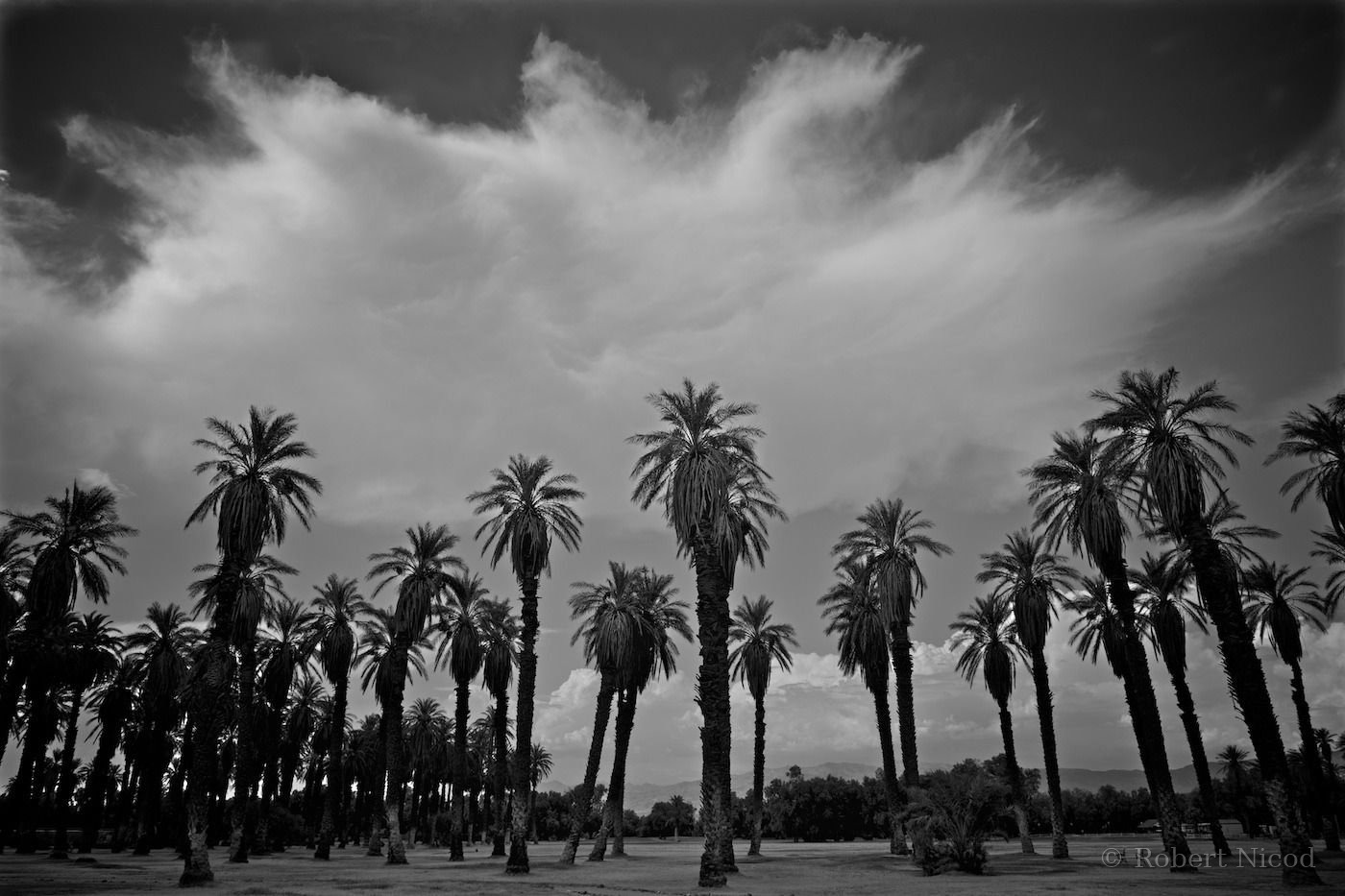 Des touristes à l'Ouest — Furnace Creek, Death Valley, Californie