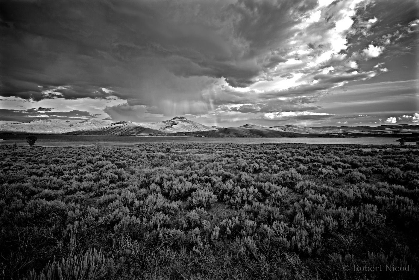 Des touristes à l'Ouest — Pluie sur une prairie aride du Nevada